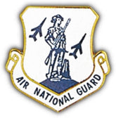 Air National Guard Small Pin