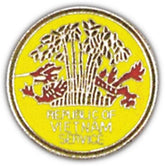 Republic of Vietnam Service Small Pin