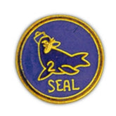 Seal Team 2 Small Pin