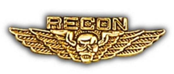 Recon Wing Small Hat Pin
