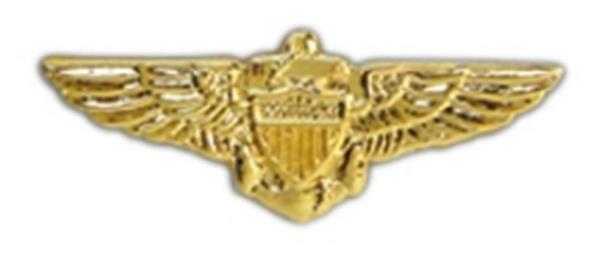 Navy Pilot Wings Small Pin
