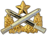 Ranger Badge Large Pin
