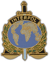 Interpol Large Pin