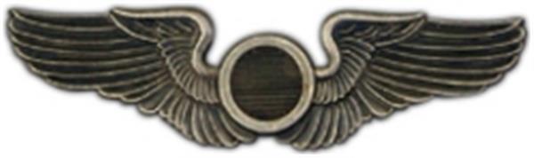 Air Craft Observer Large Pin