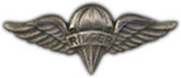 Rigger Aviator Large Pin