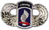 173rd Airborne Large Pin