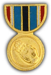 Humanitarian Service Mini Medal Small Pin