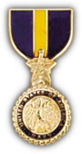 USN MC DSM Mini Medal Small Pin