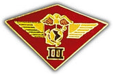 3rd MAW (Marine Air Wing) Small Hat Pin