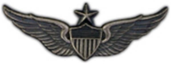 Senior Army Aviator Large Pin - CLEARANCE!