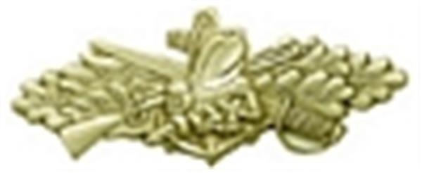 Seabees Cbt Service Small Pin Size 1 1-2" GOLD finish