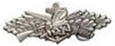 Seabees Cbt Service Small Pin Size 1 1-2" SILVER finish