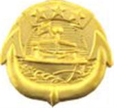 River Patrol Small Pin Size 3-4" GOLD finish