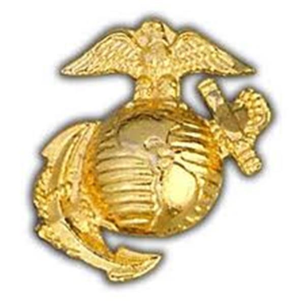USMC Globe and Eagle Gold Large Pin