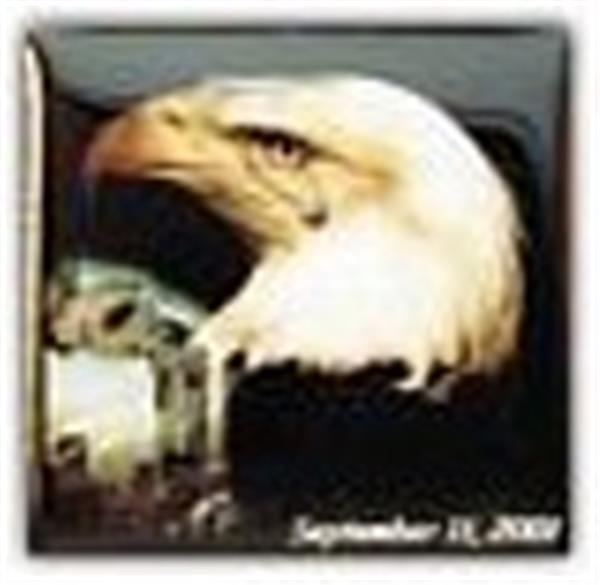 9-11 Eagle Small Pin