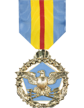 Defense Distinguished Service Medal 