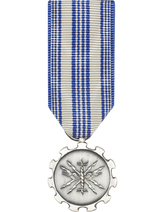 Air Force Achievement Mini Medal