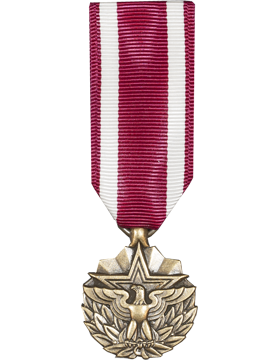 Meritorious Service Mini Medal