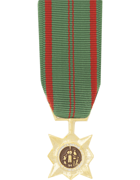 Vietnam Civil Action 1st Class Mini Medal