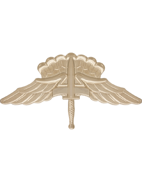 U.S. Army Halo Badge - No Shine Insignia