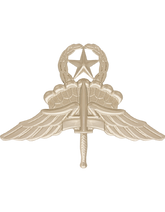U.S. Army Halo Badge - No Shine Insignia
