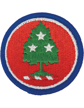 Tennessee National Guard Patch