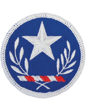 Texas National Guard Patch