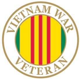 Vietnam War Veteran Pin - Size 1 inch