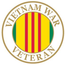 Vietnam War Veteran Pin  - Size 1 inch