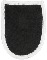 5th Special Forces Beret Flash