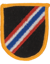 46th Speical Forces Company Flash