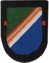 75th Ranger 1st Battalion Beret Flash