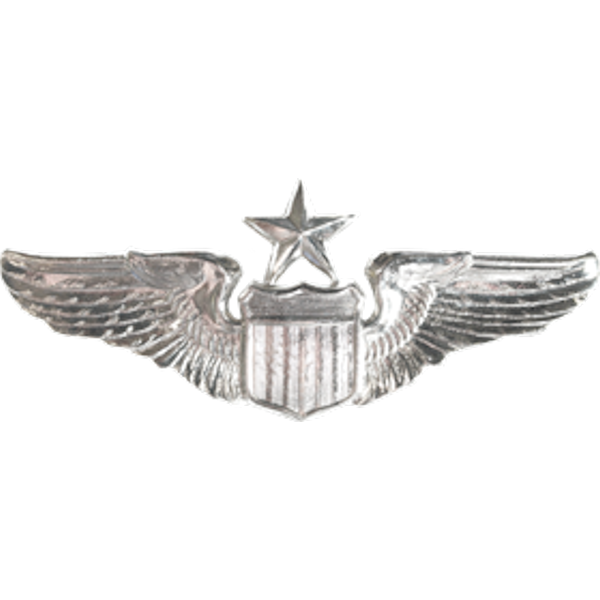 Air Force Badge - Pilot Senior