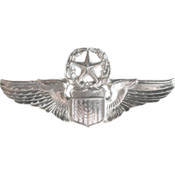 Air Force Badge - Pilot Master