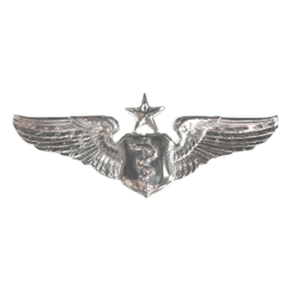 Air Force Badge - Flight Surgeon Senior