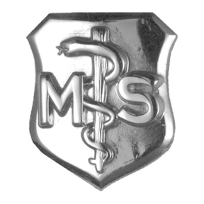 Air Force Badge - Medical Service MS Basic