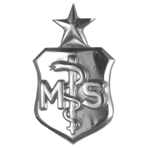 Air Force Badge - Medical Service MS Senior