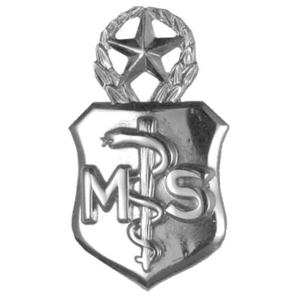 Air Force Badge - Medical Service MS Master