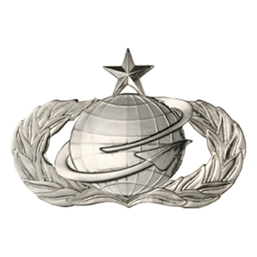 Air Force Badge - Manpower and Personnel Senior