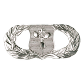 Air Force Badge - Weather Operations Basic