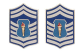 Air Force JROTC Enlisted Rank - Metal Insignia - 1 Pair