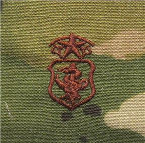 OCP Air Force Nurse Embroidered Badge - SPICE BROWN - Chief