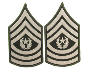 U.S. Army AGSU Chevrons Rank - Pair - Pinks and Greens