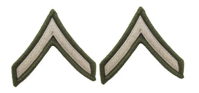 U.S. Army AGSU Chevrons Rank - Pair - Pinks and Greens Private E2