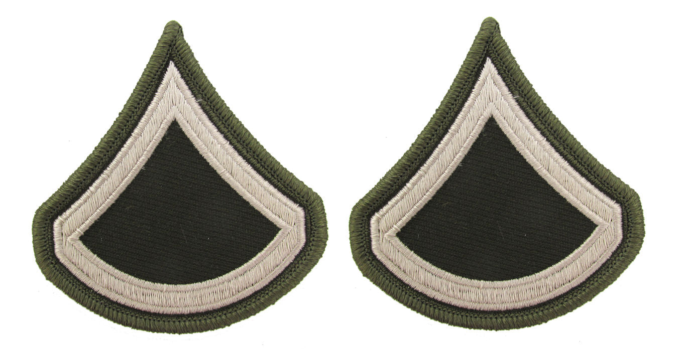 U.S. Army AGSU Chevrons Rank - Pair - Pinks and Greens PFC