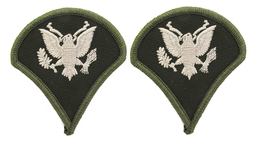 U.S. Army AGSU Chevrons Rank - Pair - Pinks and Greens