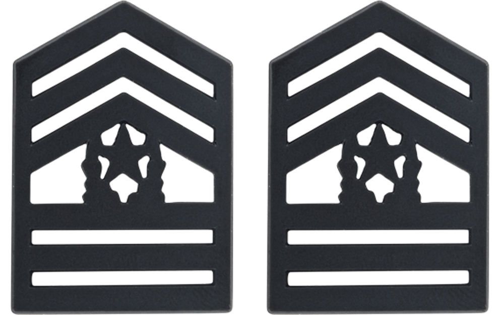 U.S. Army Black Metal ROTC Rank - Pin-on Insignia