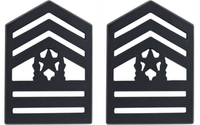 U.S. Army Black Metal ROTC Rank - Pin-on Insignia