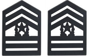 U.S. Army Black Metal ROTC Rank - Pin-on Insignia