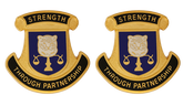 Combined Security Transition Command Afghanistan Unit Crest DUI - 1 PAIR - STRENGTH THROUGH PARTNERSHIP